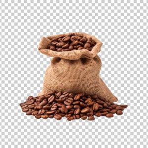 آلگرو 70 روبوستا مدیوم