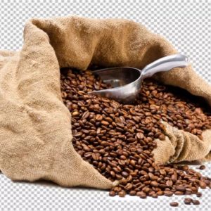 ترک مدیوم