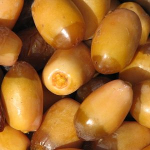 خرما زرد لاری